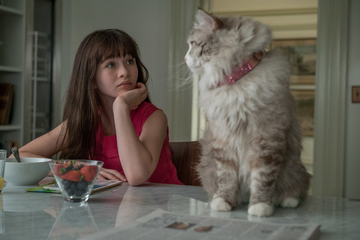 https://kg-portal.ru/movies/ninelives2016/images/3/