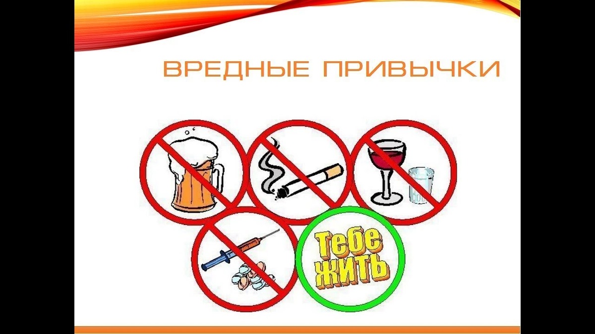 Источник фото Яндекс картинки.