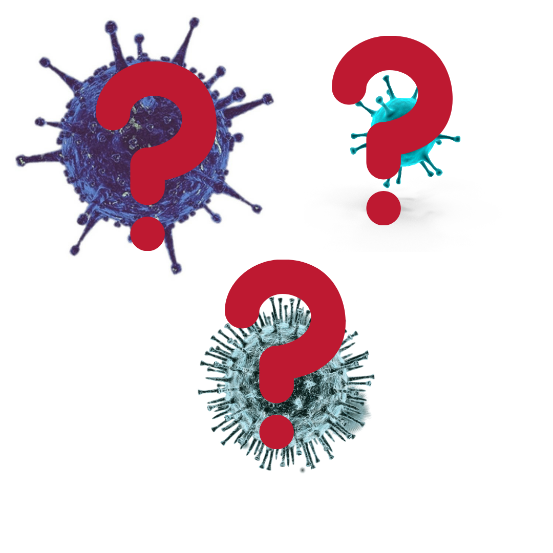 Инфекции беременных женщин. Бактериальный вагиноз препараты. Бактериурия характерна для. Микроорганизмы в моче. Бессимптомная бактериурия у беременных.