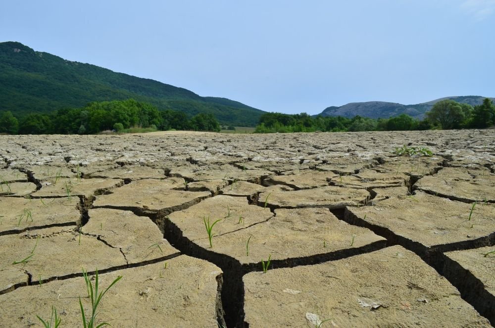 Последствия засухи на одном из крымских водохранилищ. Источник: pbs.twimg.com/media