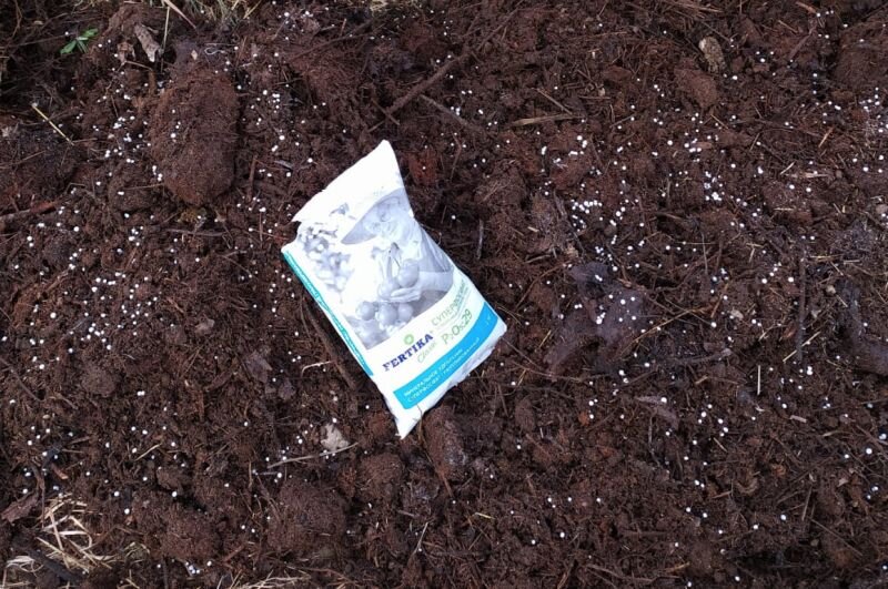 Минеральное удобрение для яблони.