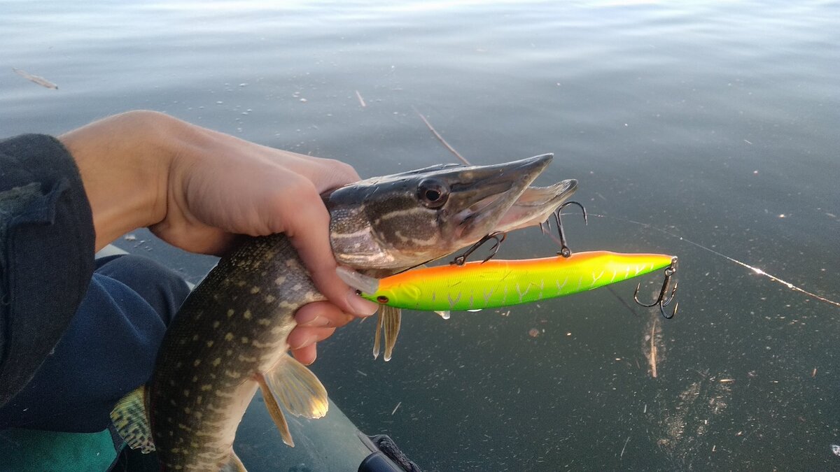 Megabass KANATA 160F от BEERKING