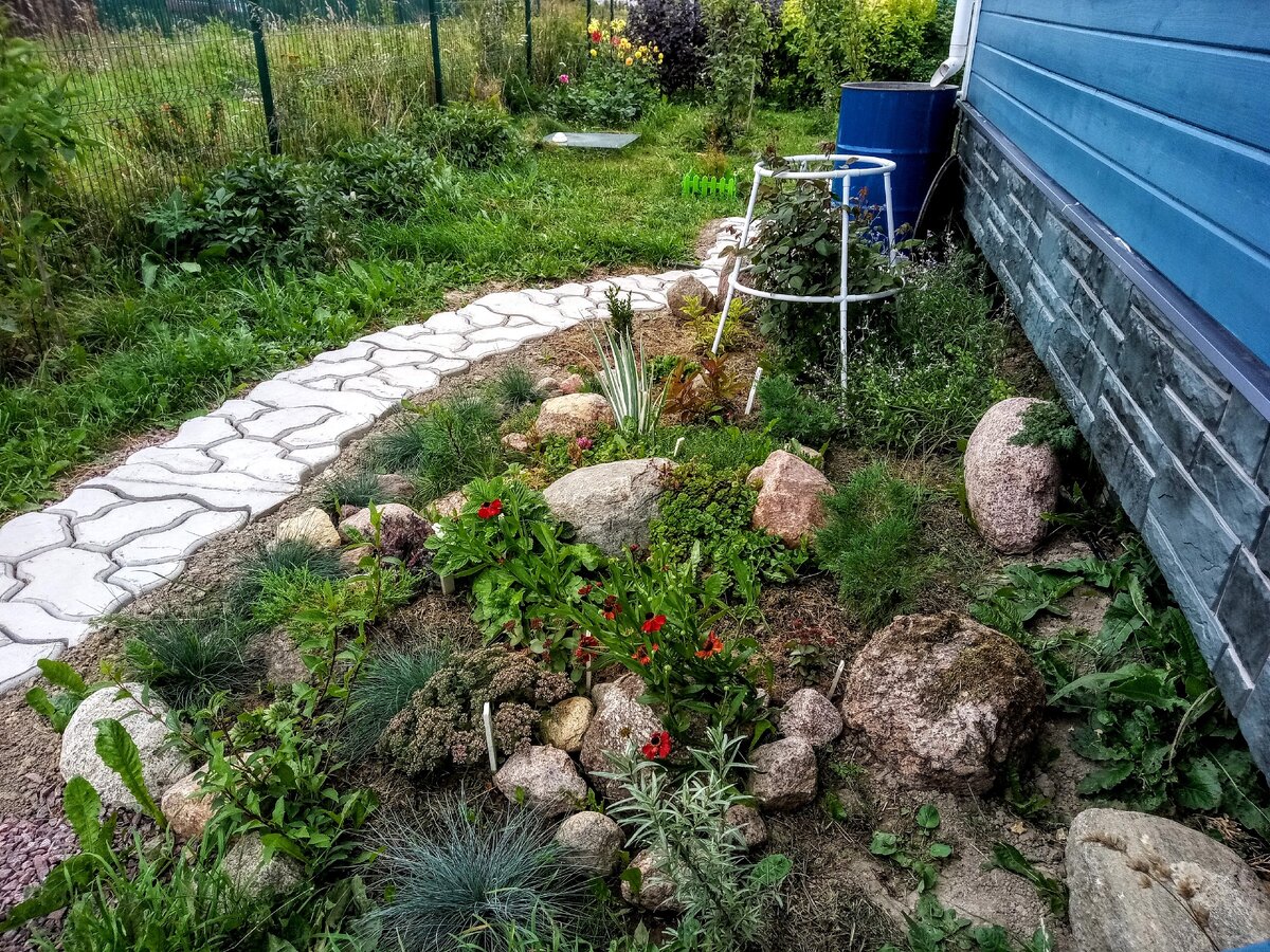 Вот такую дорожку мы сделали вокруг дома, выкопанный в процессе грунт пошел на грядку