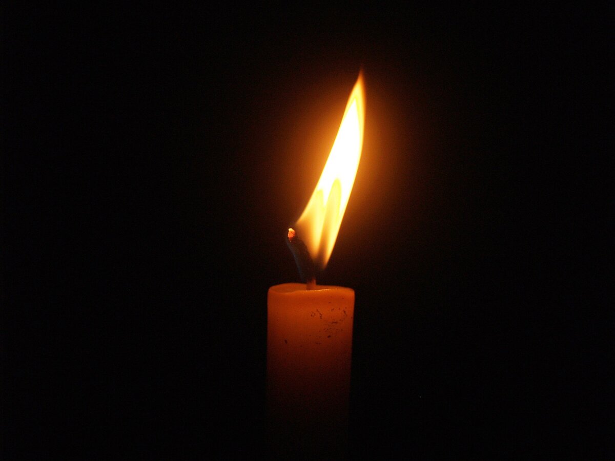 Фото 41330 с сайта Pixabay 