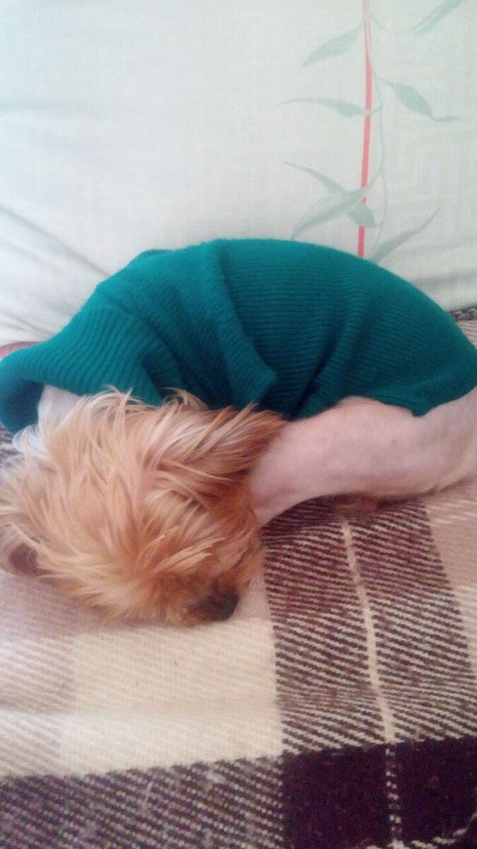 Спит после всех процедур