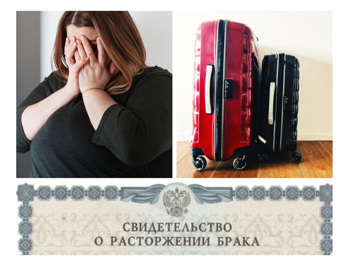 Коллаж:  Елизавета Летучева 