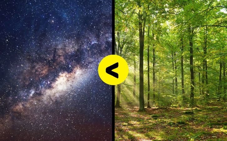 © depositphotos, © depositphotos
