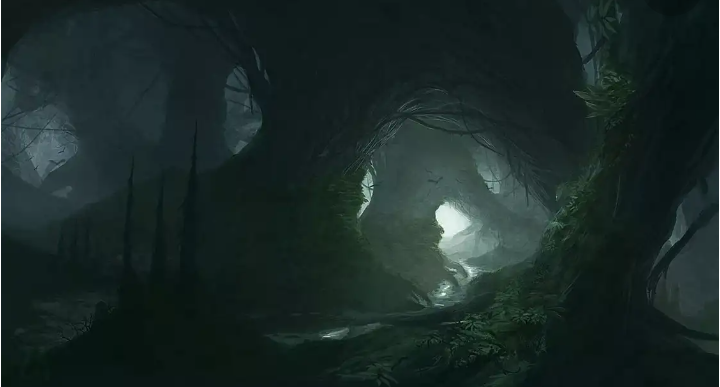 Фото из интернета