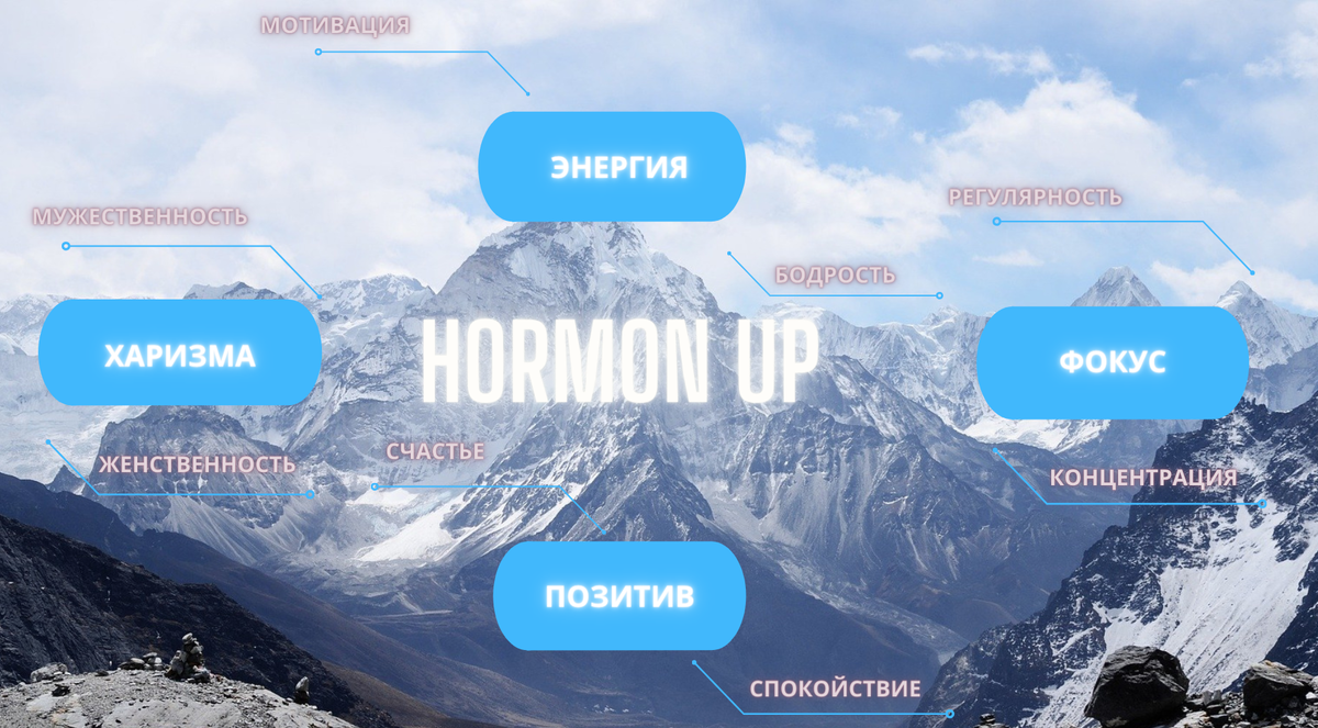 Баланс гормональной системы организма.