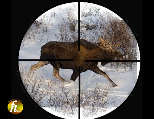 http://hunt-fish.info