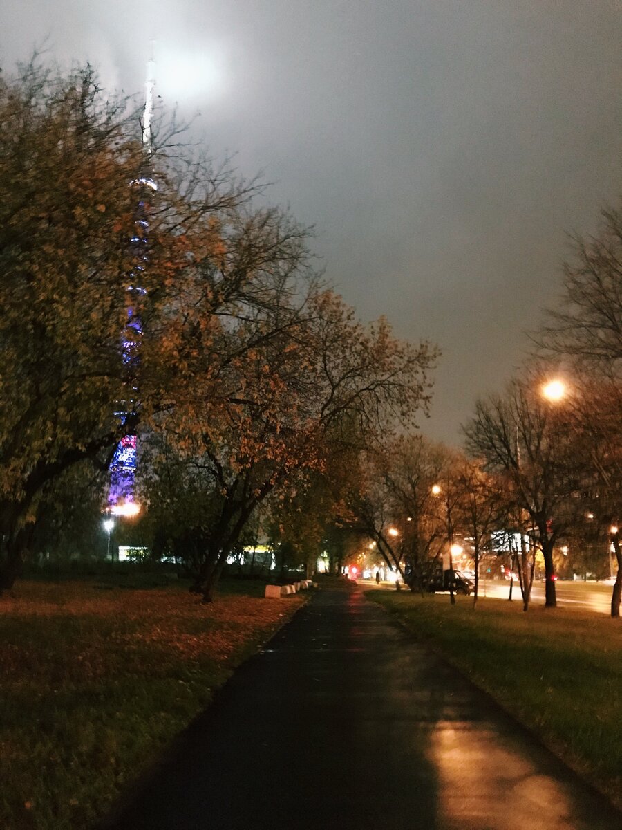 запахи листвы волшебные ✨