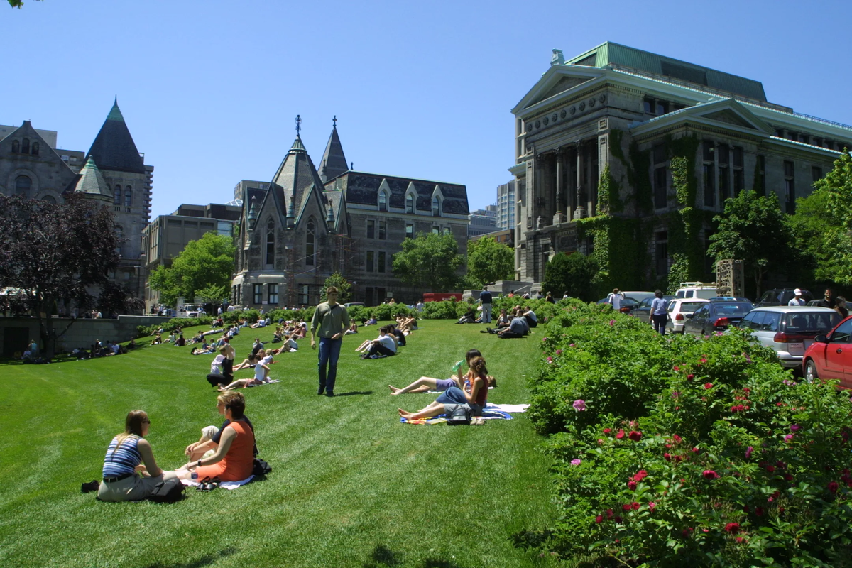 Students city. Университет Макгилла (MCGILL University). Университет Торонто Канада. Университет Торонто Scarborough Campus. Университеты Торонто и МАКГИЛЛ.