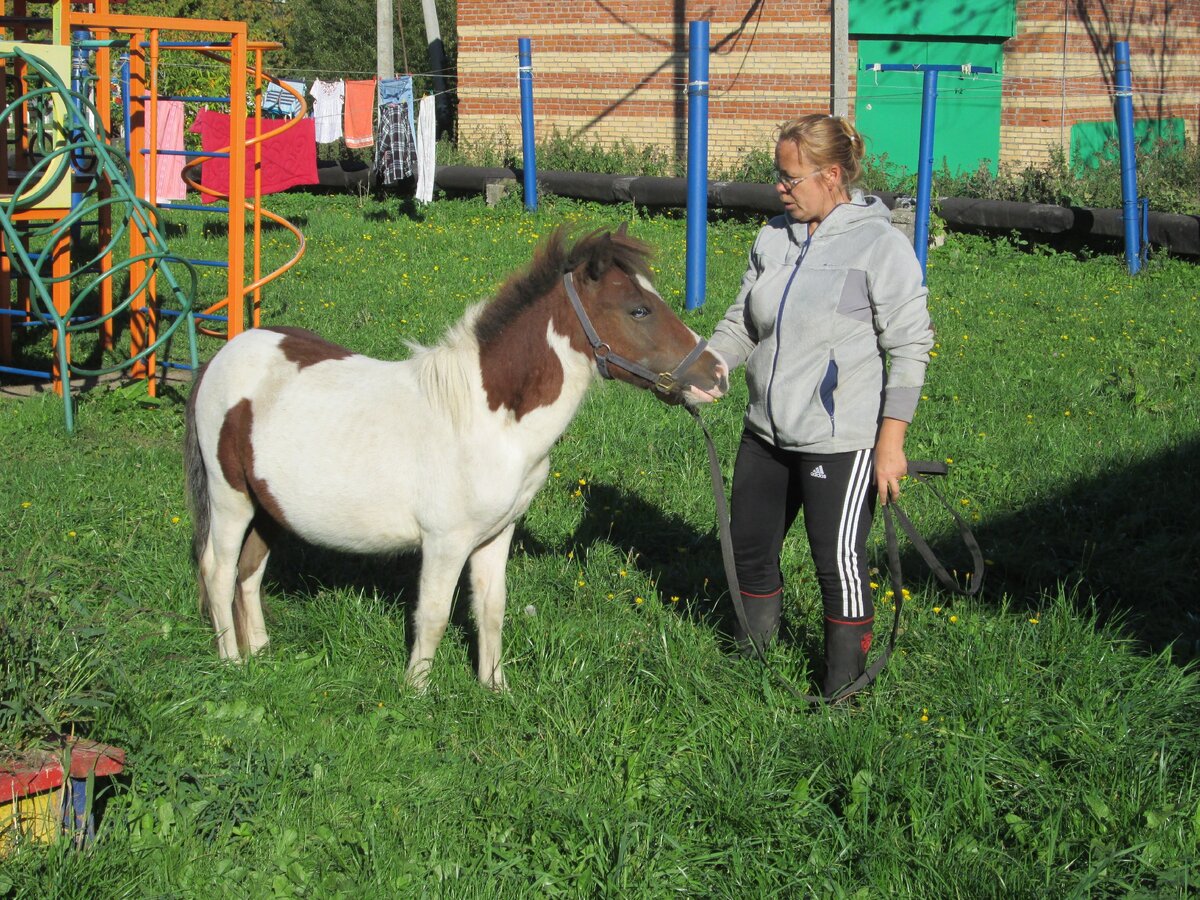 Толстый Понич. Фото автора