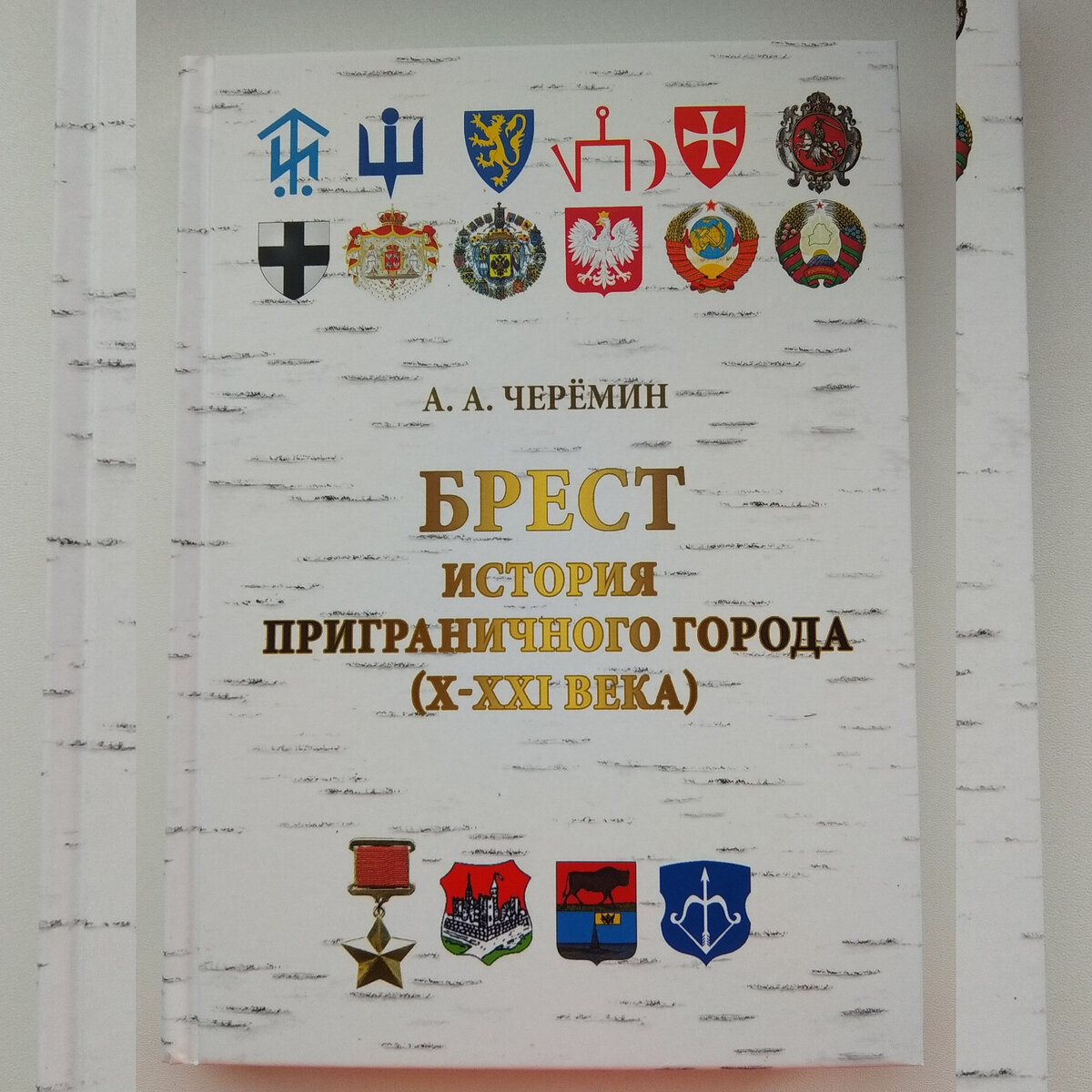 Книга "Брест. История приграничного города (10-21 века)", автор Черёмин А.А. 