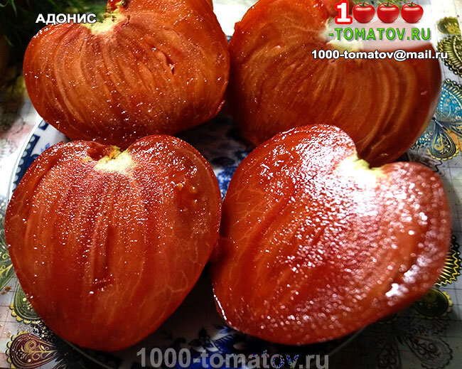 ТОМАТЫ – СТАРИННЫЕ УРОЖАЙНЫЕ СОРТА ч.1 | 1000 томатов | Дзен