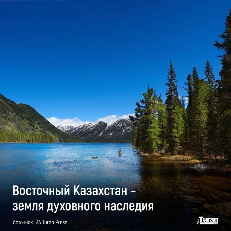 Фото из интернета