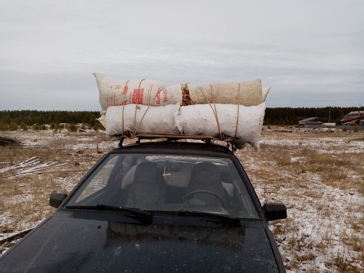 "Голь на выдумки хитра". Фото автора.
