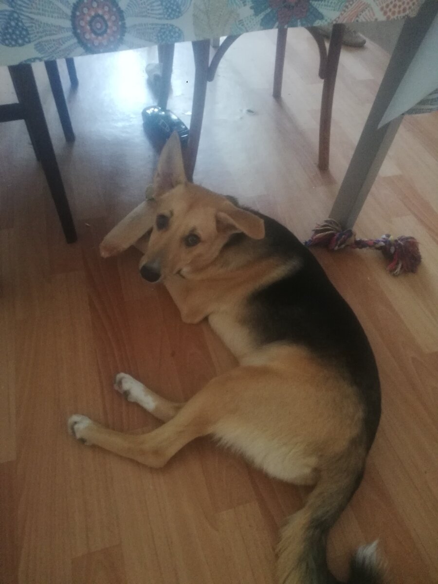 Ворюга в законе))) 