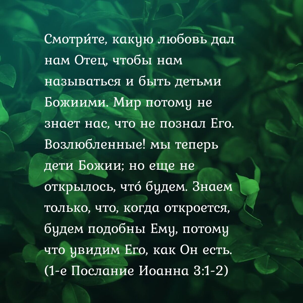 !-ое Послание Иоанна №:11-2