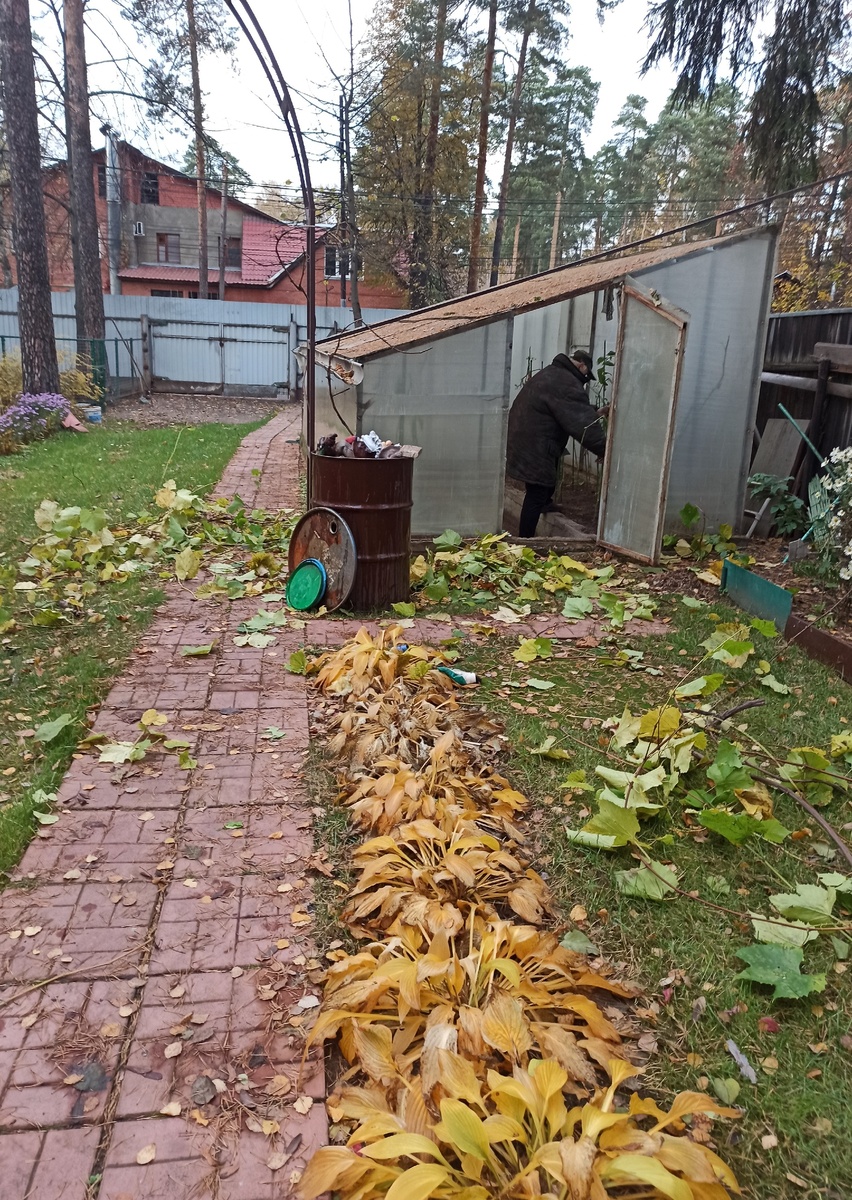 Непочатый край осенних работ. 