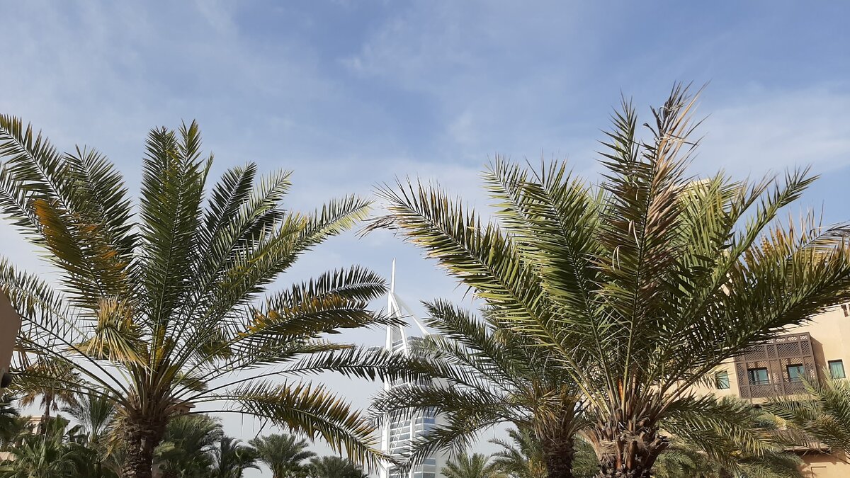 Из личного архива