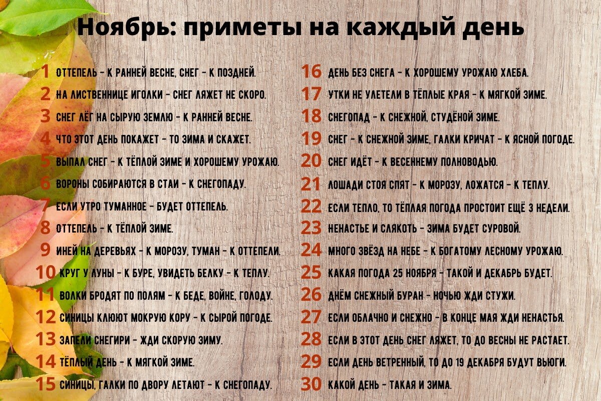 12 ноября приметы