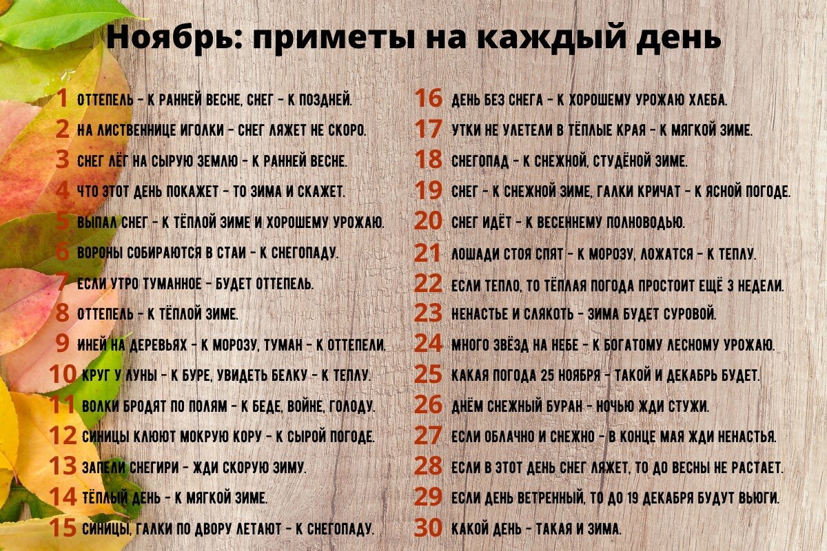 24 ноября приметы