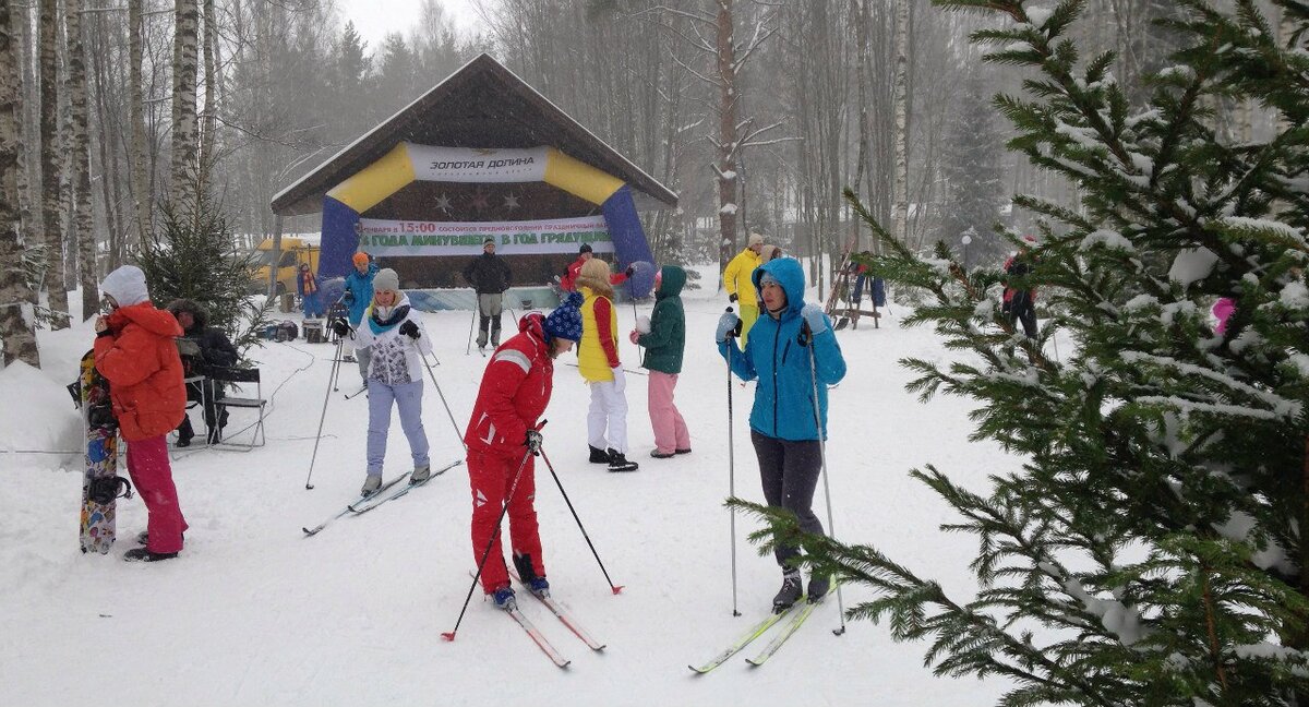 из открытого источника.