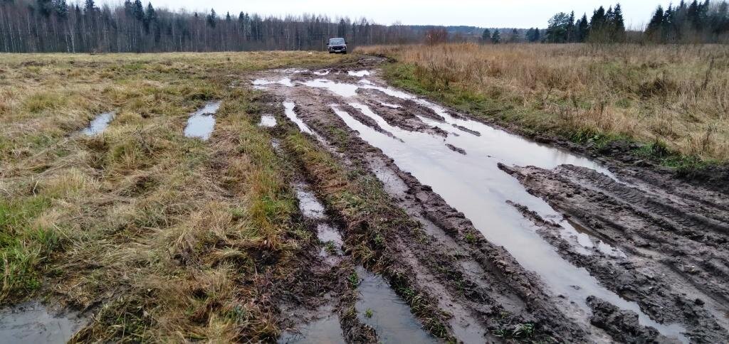 Россия, сельская дорога. Еду на дачу. Фото автора.