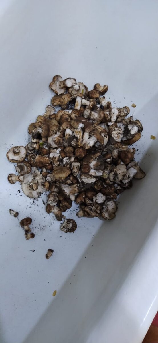 Фото с личного архива.