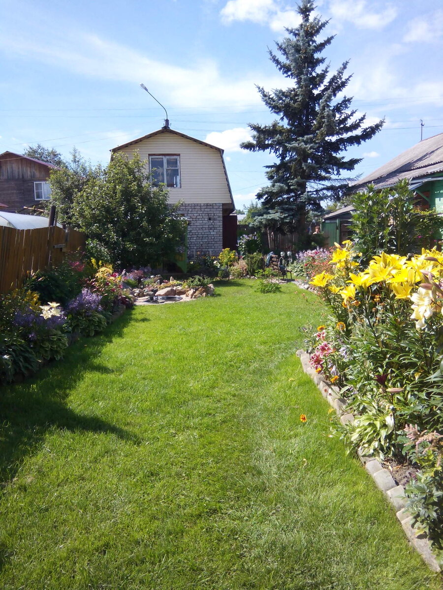 А когда мы только переехали, елочка не доставала до проводов около метр