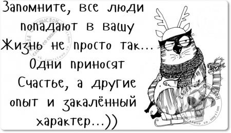 Фото из свободного доступа