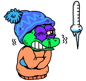 фото из интернета