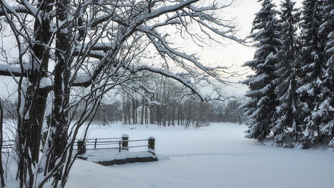 Фото — rasfokus.ru