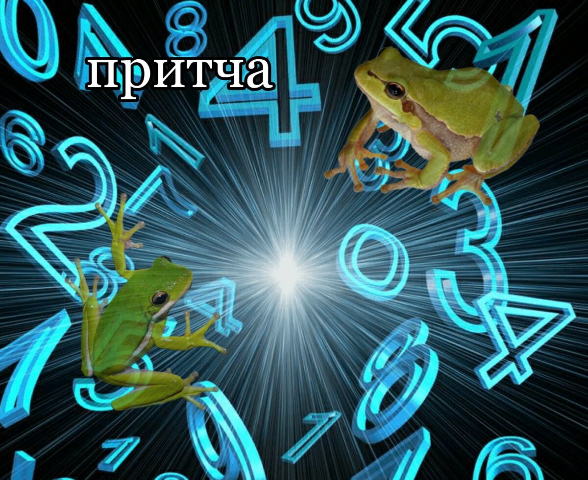 Нумерология знаменитостей