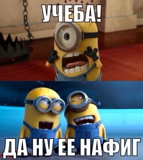 Фото с открытого источника 