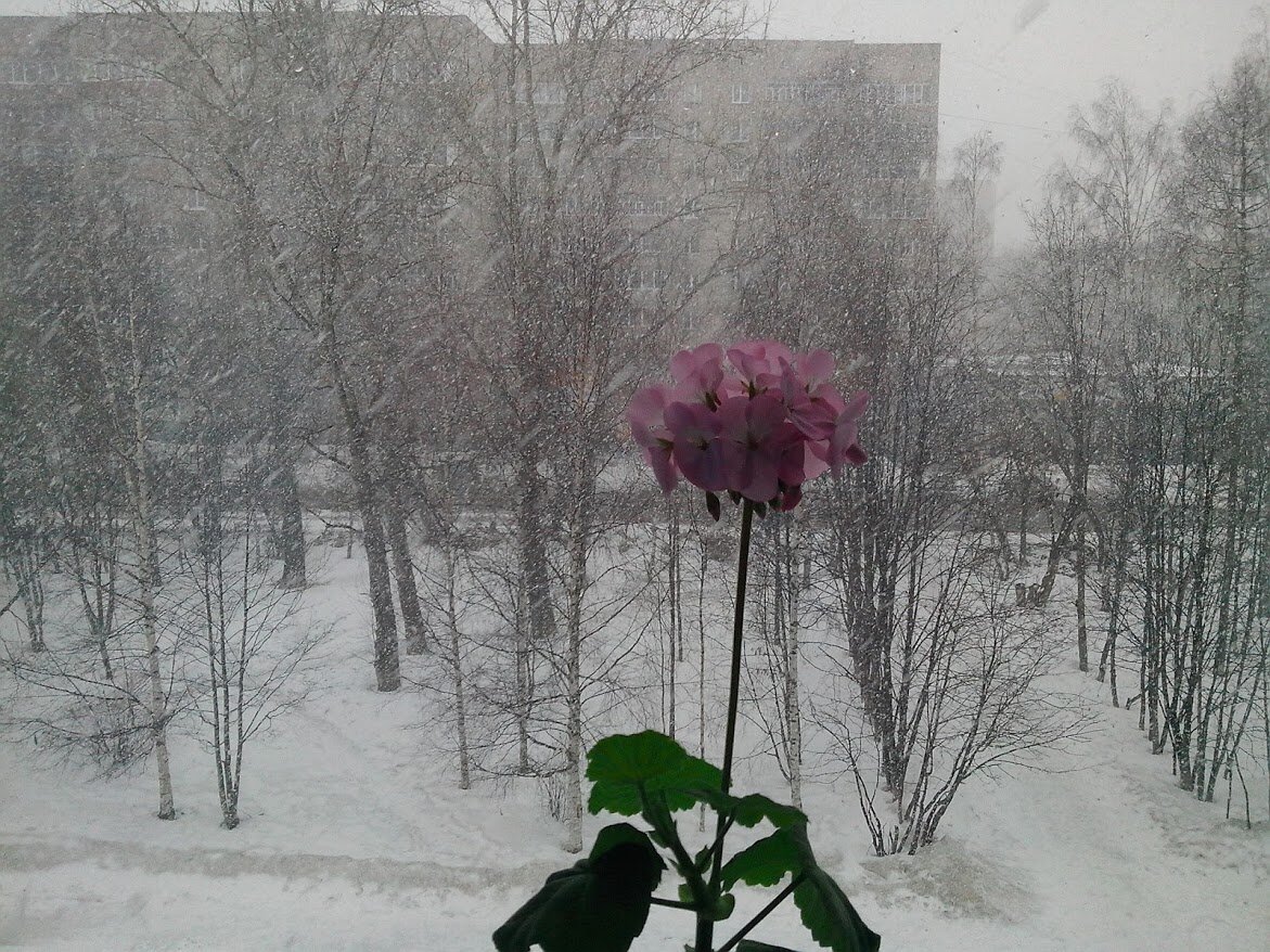 Фото из личного архива