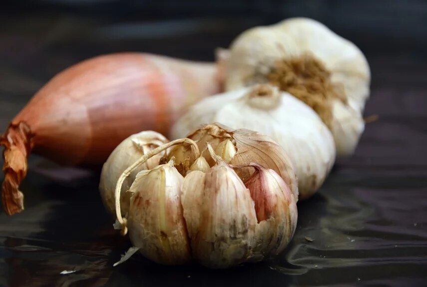 Фото: pixabay.com