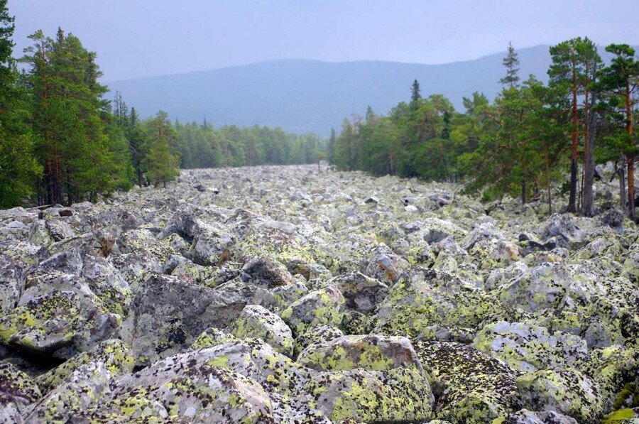 Курумник Иремель