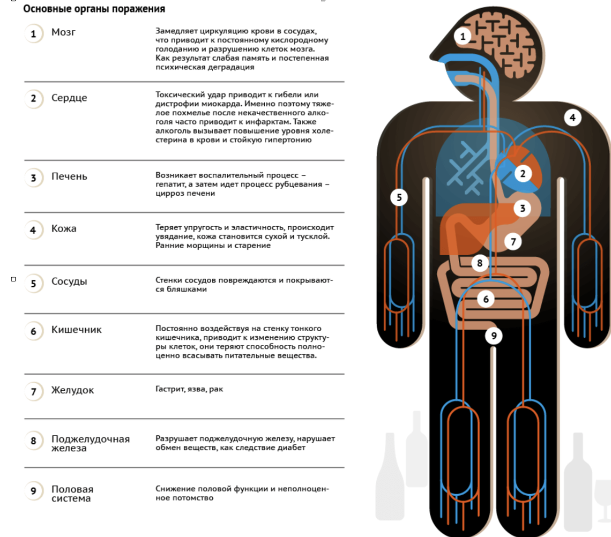 Влияние этанола на организм человека | VVV | Дзен