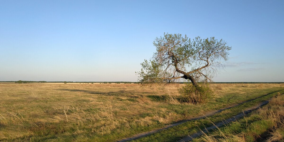 Фото Hello Derevnia