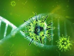 Коронавируса нет