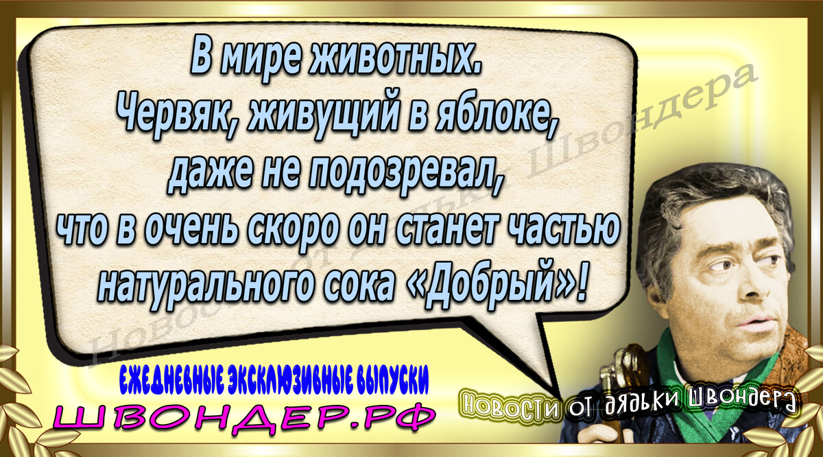 Картинка с сайта швондер.рф