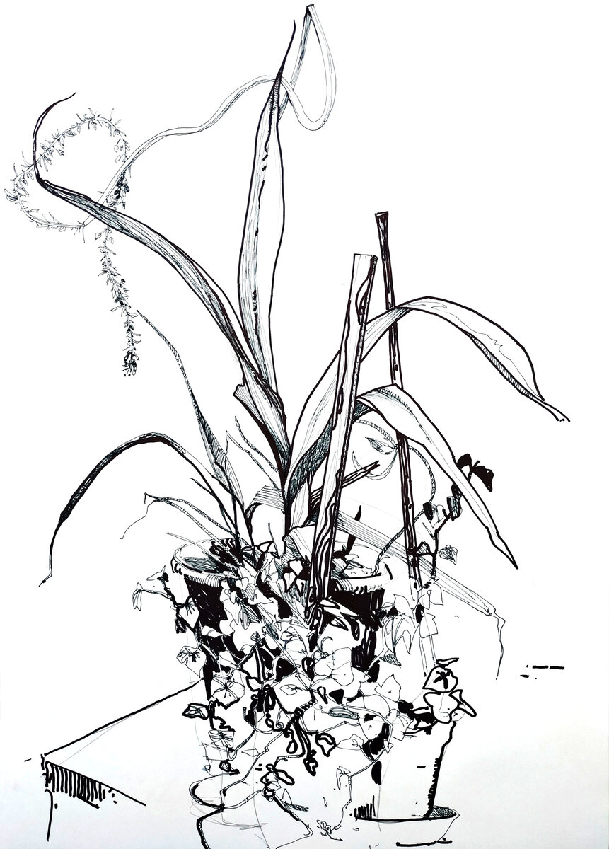 Моя работа :) 2020 год. Линер, маркер.