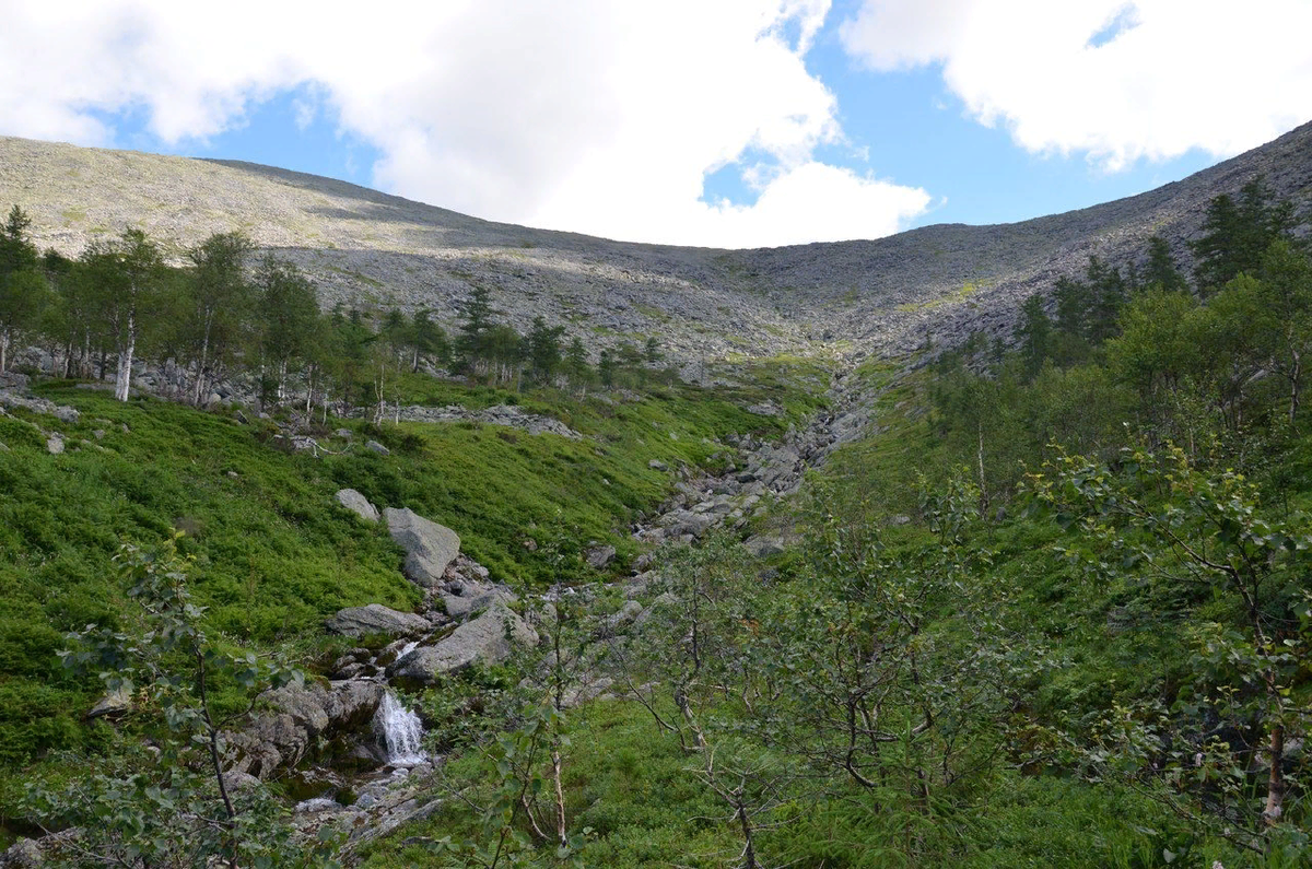 На сколне хребта Тулымский Камень.