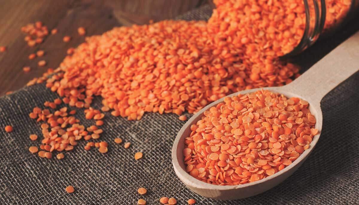 Красная чечевица