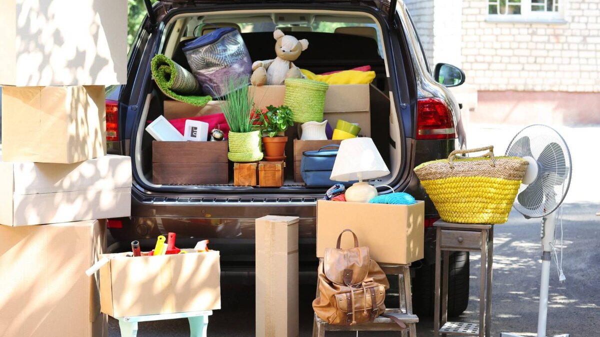 Фото из открытого источника