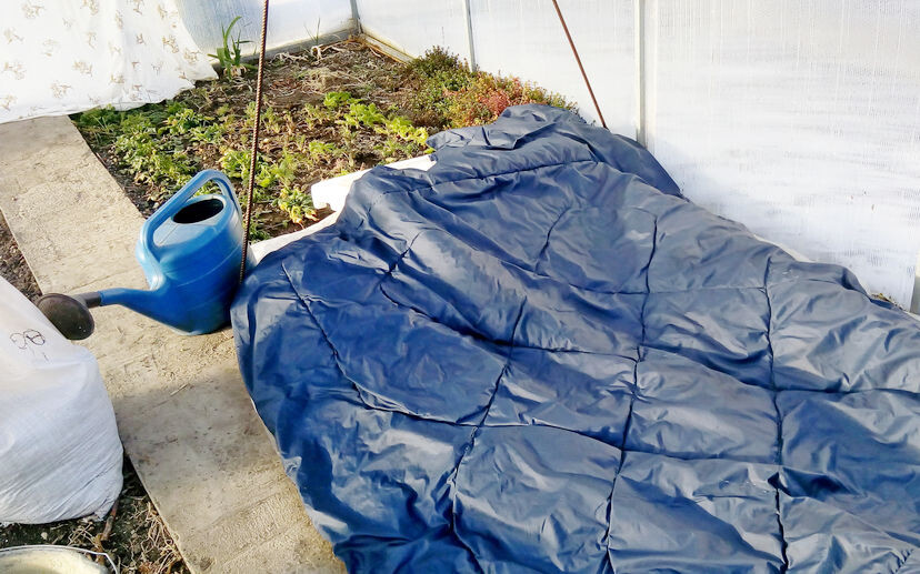 В марте были морозы до -15С. Фото автора