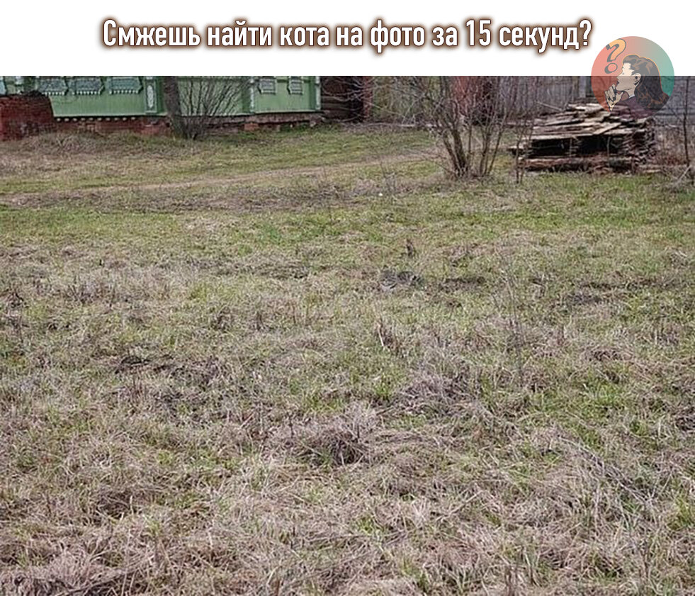 Листай вправо, -там ответ!