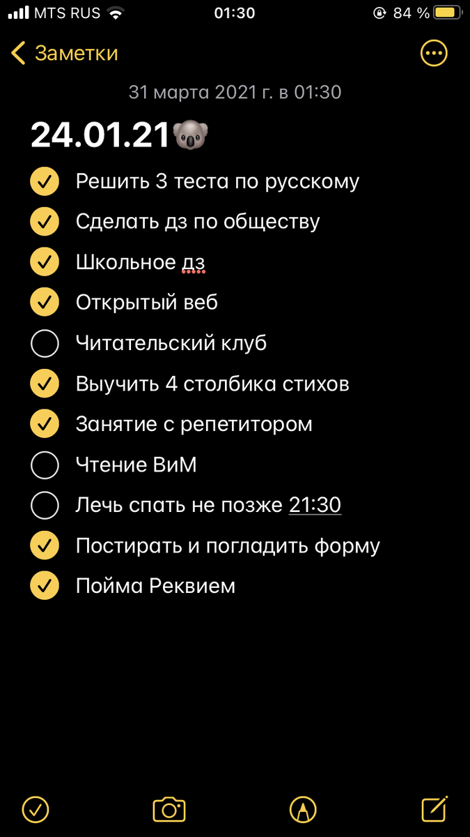 "Один из моих дневных планов"
